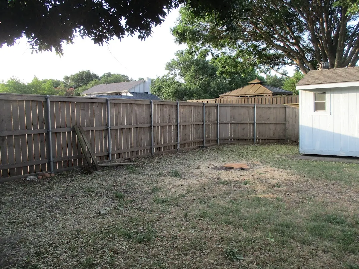Cleared yard after professional tree removal in Yatesboro